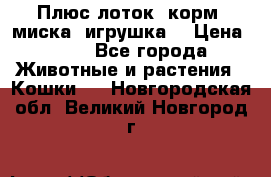 Плюс лоток, корм, миска, игрушка. › Цена ­ 50 - Все города Животные и растения » Кошки   . Новгородская обл.,Великий Новгород г.